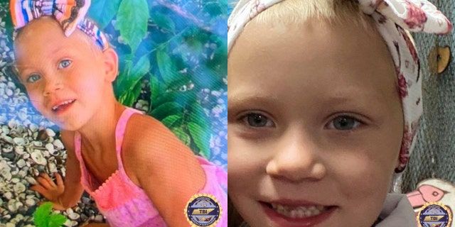 Investigators have shown little progress in the six weeks since Summer Wells went missing.