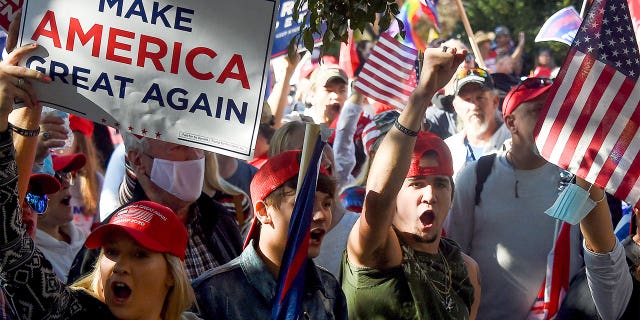 Supporters of President Trump rally in Washington, D.C., Nov. 14, 2020.