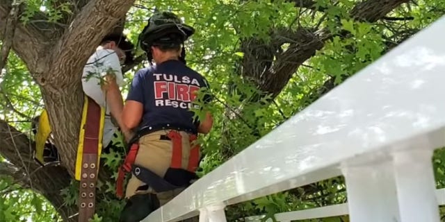 According to the Tulsa Fire Department, a cat owner had become stuck in a tree while trying to rescue their pet.