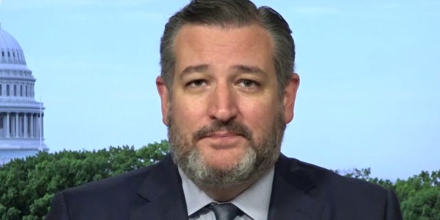 Ted Cruz appears on Fox News (Fox News)