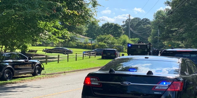 The suspect was shot after multiple law enforcement agencies conducted a search. (Cobb County Police)