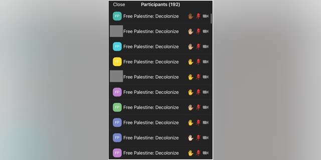 A second screenshot provided to Fox News shows that many of the 192 total participants on the Zoom call changed their names to "Free Palestine: Decolonize," therefore hiding their identities in the chat section.