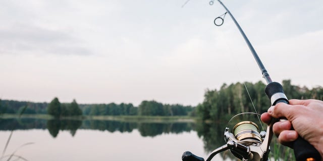 Before going after any catfish, Ethan Moss decided to catch some bait. This was when he caught a large skipjack fish.