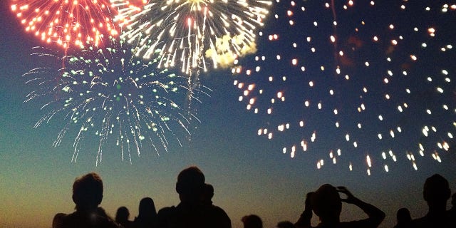 Fourth of July Fireworks Exploding Over Celebrating Spectators in Silhouette