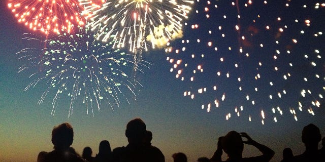 Fourth of July fireworks are seen exploding across the night sky.