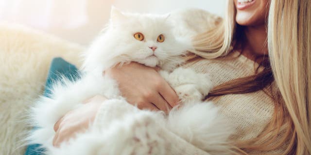 A young woman snuggles her white Persian cat in this photo.