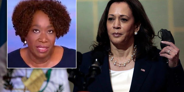 MSNBC host Joy Ann-Reid made excuses for Vice President Kamala Harris still not visiting the U.S.-Mexico border on "The ReidOut" Tuesday night, admitting that it's an "unpopular opinion" as Harris continues to be lambasted for not having made the trip since being named the Biden administration's border czar.