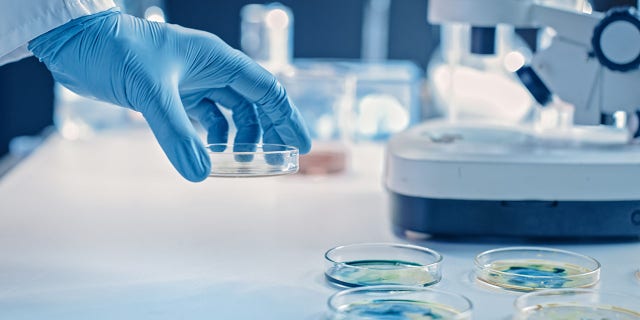 For a new study, a research team at the University of Wisconsin-Madison also "sequenced" data from an additional 2,147 samples from two groups of people: healthy individuals — and patients with 11 different cancer types.