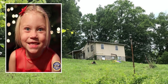 Summer Wells was last seen at her home in Rogersville, TN on June 15.  Donald Wells has confirmed that his three sons were taken from the family home this month. 