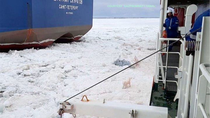 Fox News Flash top headlines for June 8