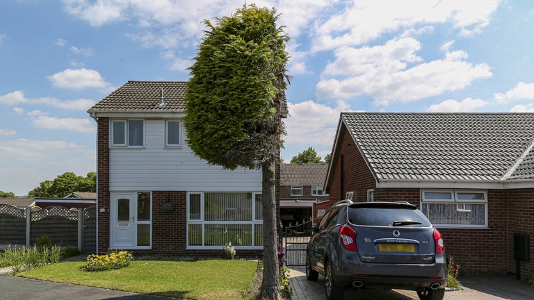 UK neighbors cut tree in half over bird poop dispute: ‘We were absolutely distraught’