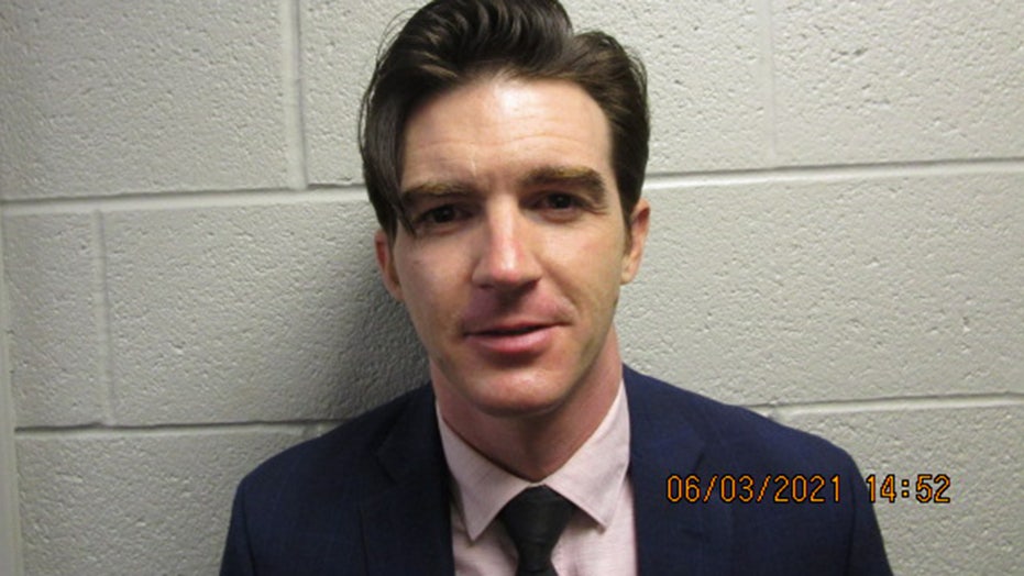 Drake Bell pleads guilty to criminal charges involving a minor