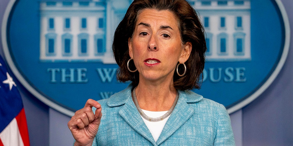 Biden admin's AI Safety Institute not 'sufficient' to deal with risks, must check user 'procedures': expert - Vimarsana News