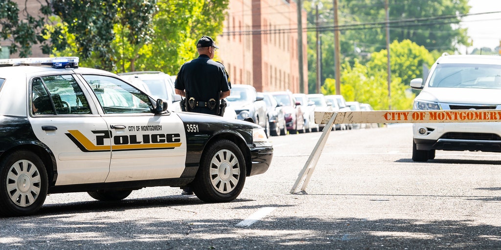 Police pointed guns at me twice. Lack of diversity training wasn't the problem - Vimarsana News