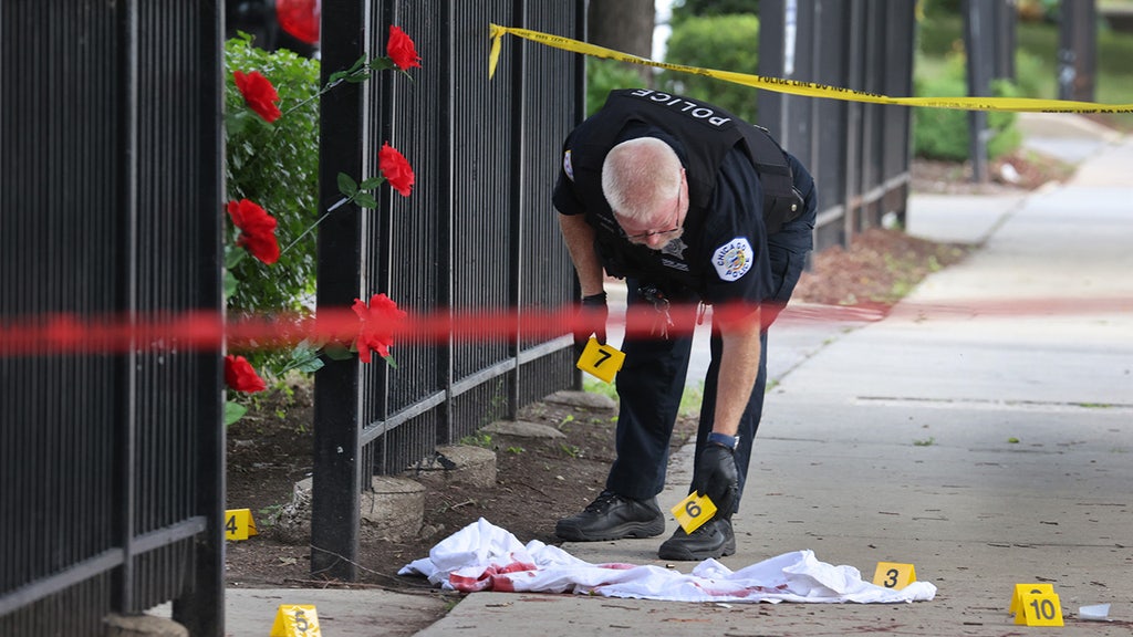 Gang bangers outnumber police 10 to 1 in Chicago as cops quit, violence soars