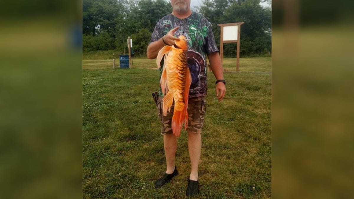 The Missouri Department of Conservation posted about the catch on Facebook as well, acknowledging Tim Owings for the catch.
