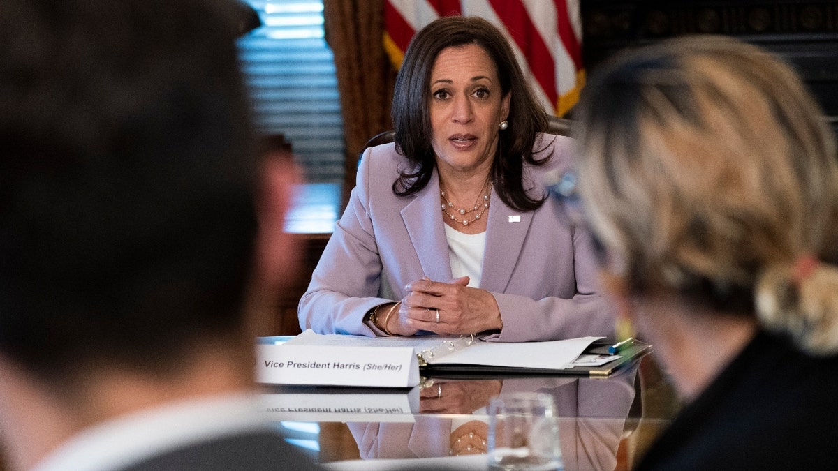 Vice President Kamala Harris meets with LGBTQ stakeholders, Wednesday, June 23, 2021, in her ceremonial office on the White House complex in Washington. (AP Photo/Jacquelyn Martin)