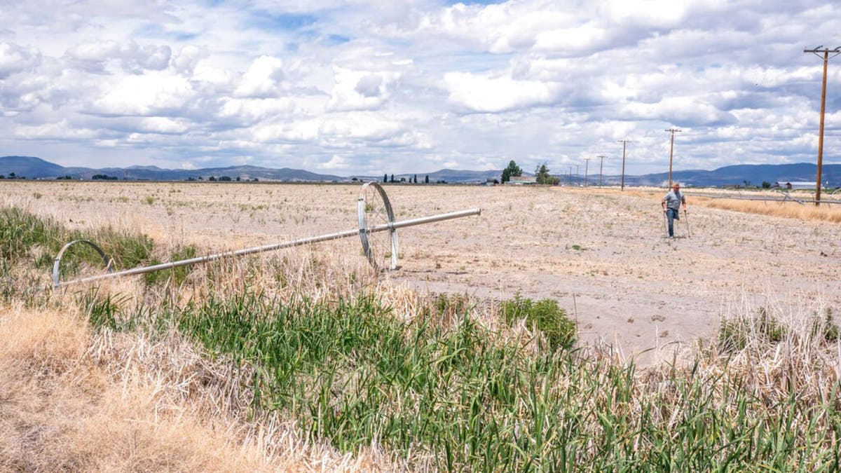Ben DuVal walks past a dry irrigation pipe in a field he had rented for crops this year but was unable to plant due to the water shortage, on Wednesday, June 9, 2021, in Tulelake, Calif.