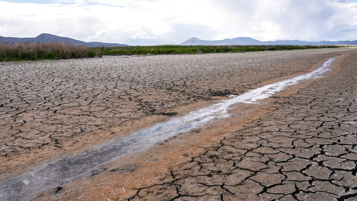 A small stream runs through the dried, cracked earth of a former wetland near Tulelake, Calif., Wednesday June 9, 2021.