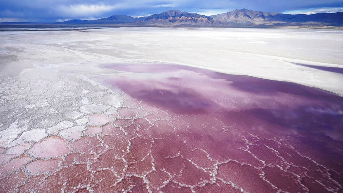 Great Salt Lake Salt