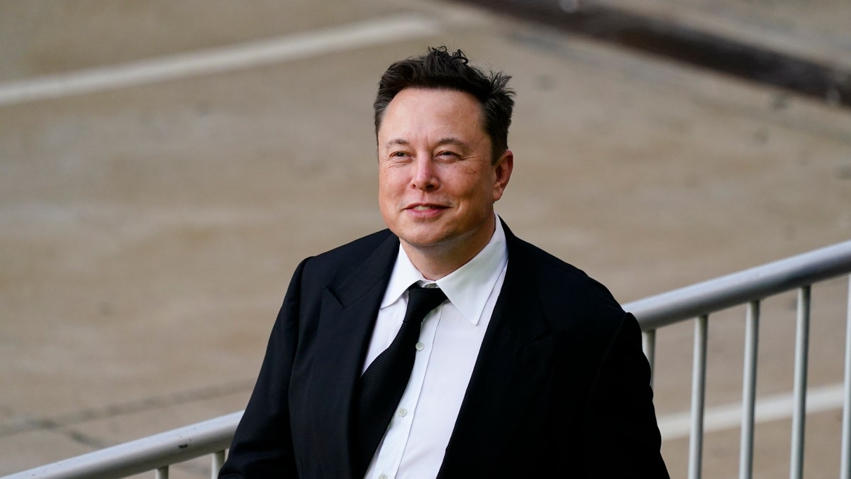 Elon Musk Tesla CEO buys stake in Twitter