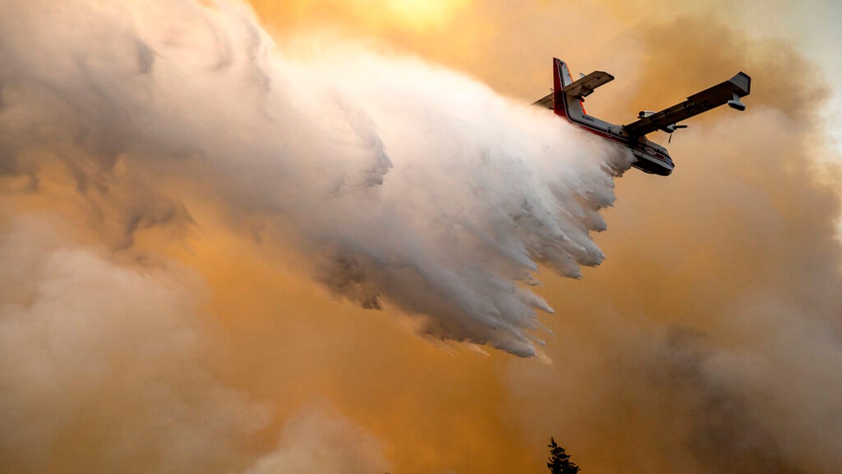 A scoop plane drops water onto a burning ridge where a fire line had been created by crews of wildland firefighters, Monday, July 12, 2021, at the Lick Creek Fire, south of Asotin, Wash. (Pete Caster/Lewiston Tribune via AP)