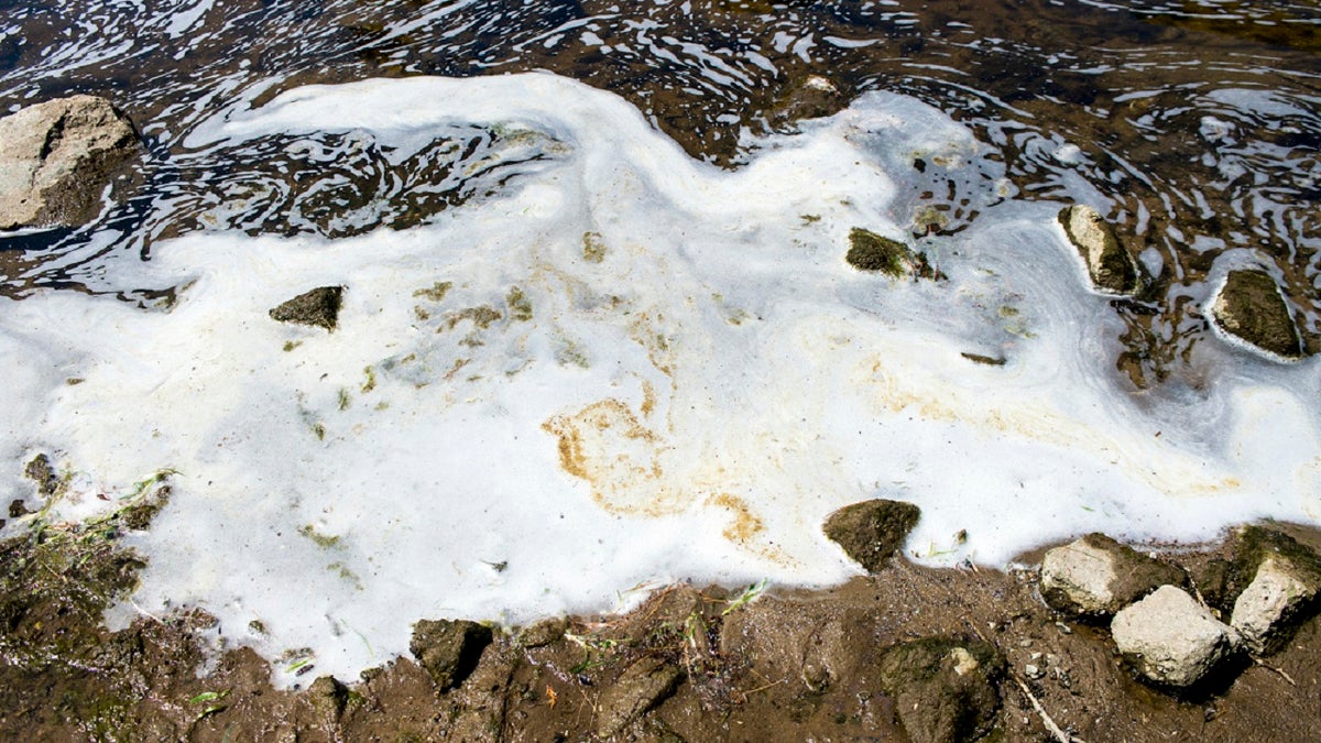 In this June 7, 2018, file photo, PFAS, or perfluoroalkyl and polyfluoroalkyl substances, foam gathers at the the Van Etten Creek dam in Oscoda Township, Mich., near Wurtsmith Air Force Base.