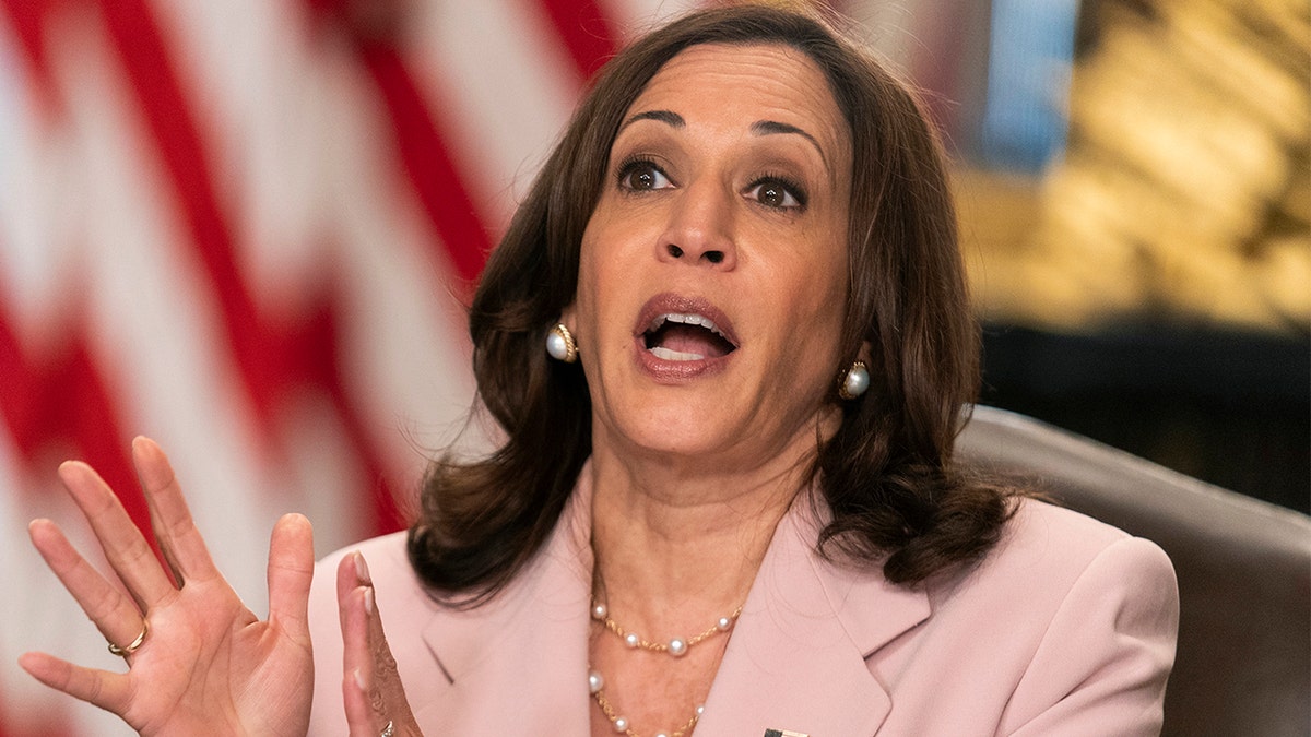 Vice President Kamala Harris speaks during a roundtable with disabilities advocates on voting rights in the Vice President's Ceremonial Office at the Eisenhower Executive Office Building on the White House complex, Wednesday, July 14, 2021, in Washington. (AP Photo/Manuel Balce Ceneta)