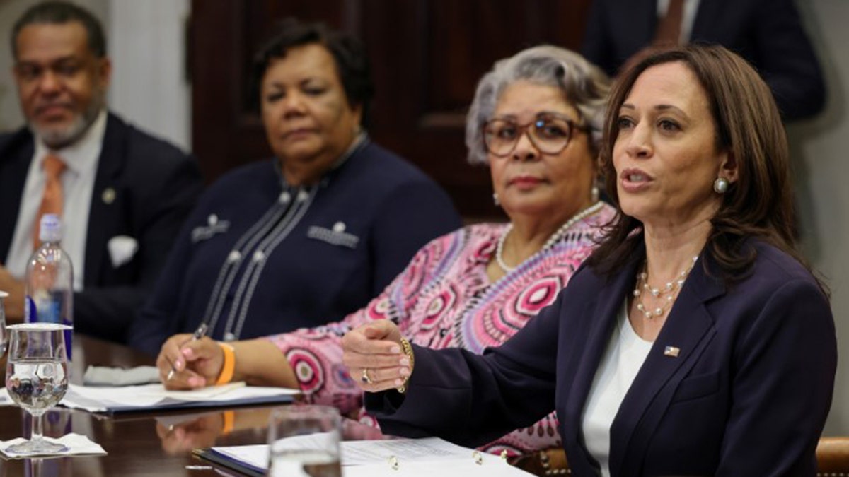 Vice President Kamala Harris hosts members of Texas state Senate and House of Representatives, who in May blocked passage of legislation that would have made it significantly harder for the people of Texas to vote, at the White House in Washington, U.S., June 16, 2021. (Reuters)