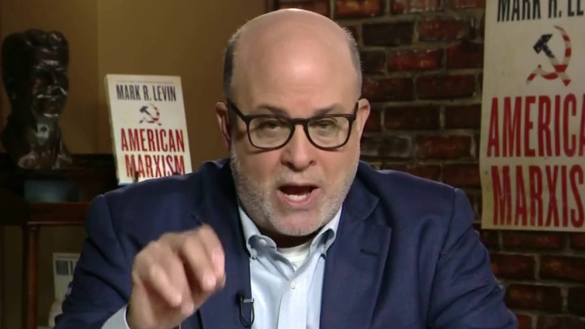 Levin rips Texas Democrats fleeing state to block GOP election bill Bus of clowns