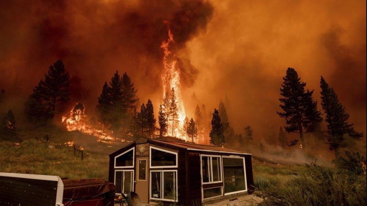 The Tamarack Fire, which was sparked by lightning on July 4, exploded overnight and was over 32 square miles as of Saturday evening.