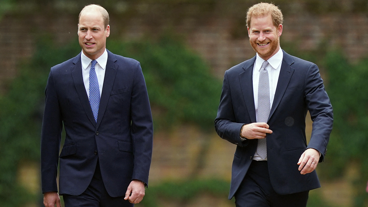 Prince William and Prince Harry at statue unveiling 