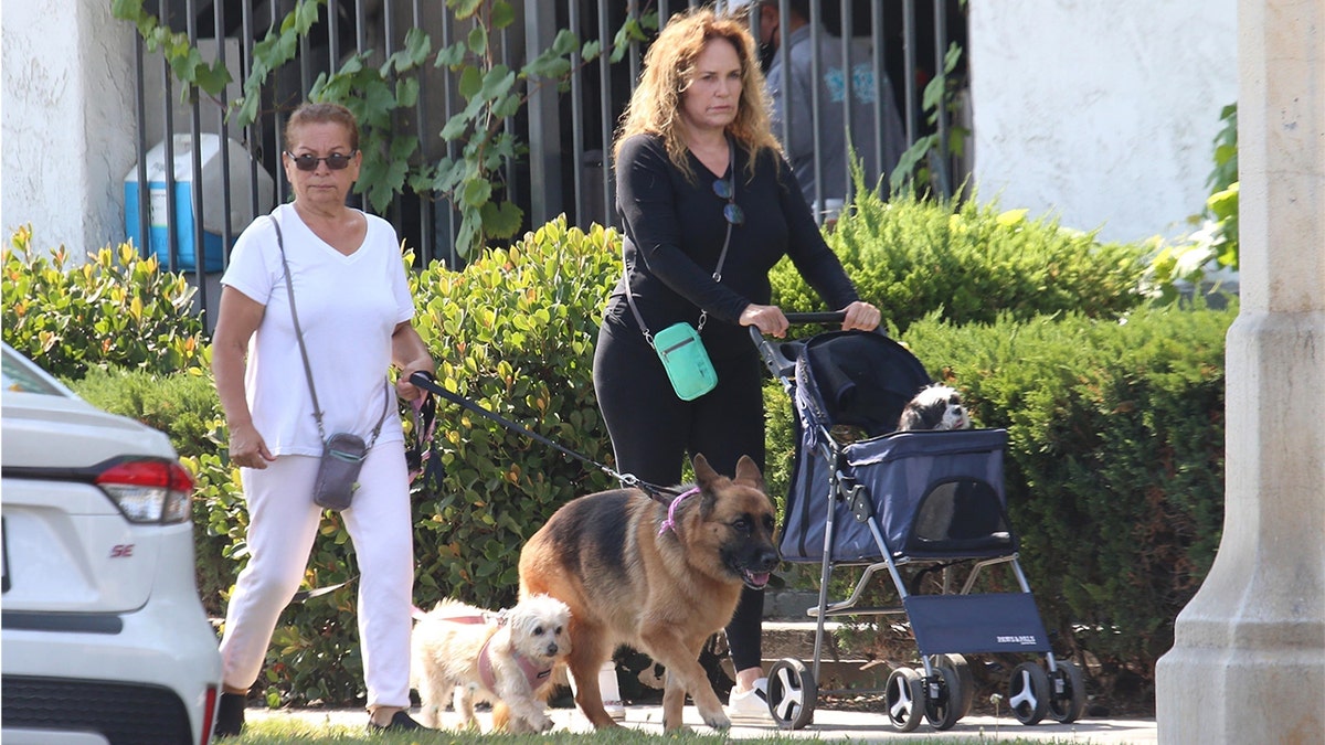 Catherine Bach Daisy Duke walks dogs