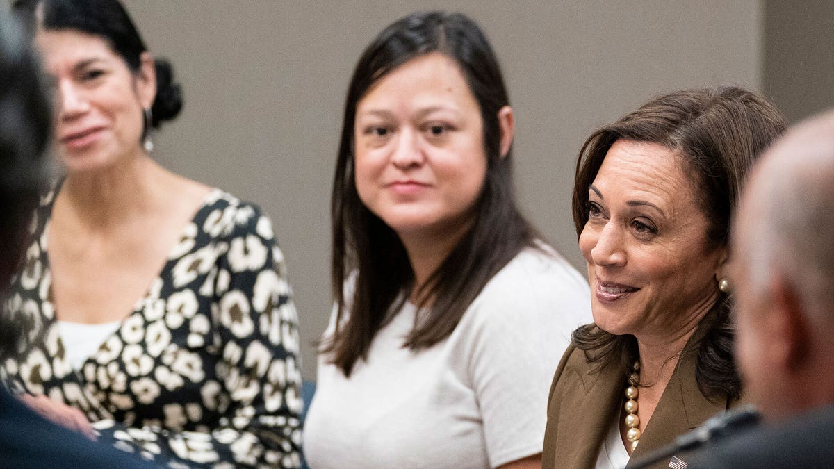 Vice President Kamala Harris meets with Democrats from the Texas state legislature at the American Federation of Teachers, Tuesday, July 13, 2021, in Washington. (Associated Press)