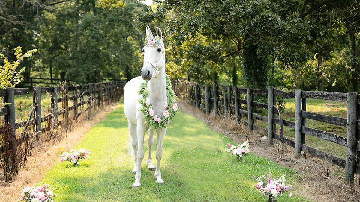 Leggio’s mom Melissa to Fox News: "It was a happy and sad moment. To see her get excited about the unicorn and have a day just about her was amazing."