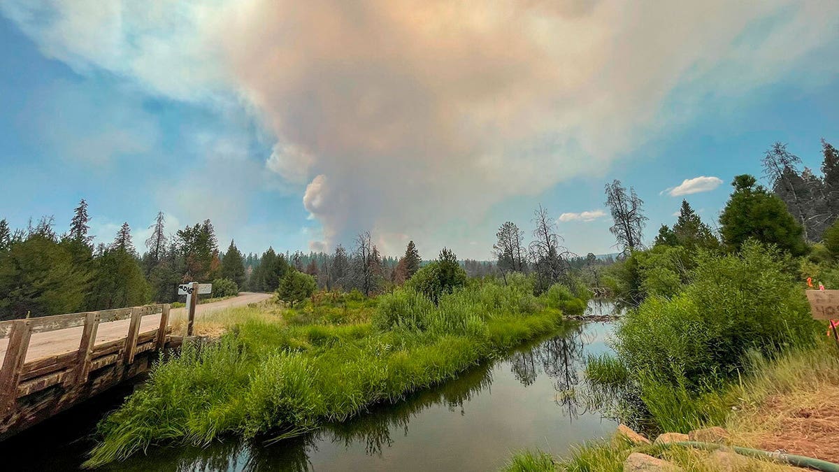 In this photo provided by the Bootleg Fire Incident Command, the Bootleg Fire burns in the background behind the Sycan Marsh in southern Oregon on Saturday, July 17, 2021.  (Bootleg Fire Incident Command via AP)