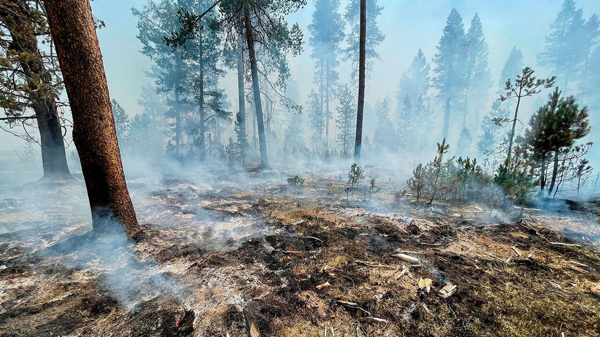 In this photo provided by the Bootleg Fire Incident Command, the Bootleg Fire is seen smoldering in southern Oregon, Saturday, July 17, 2021. (Bootleg Fire Incident Command via AP)