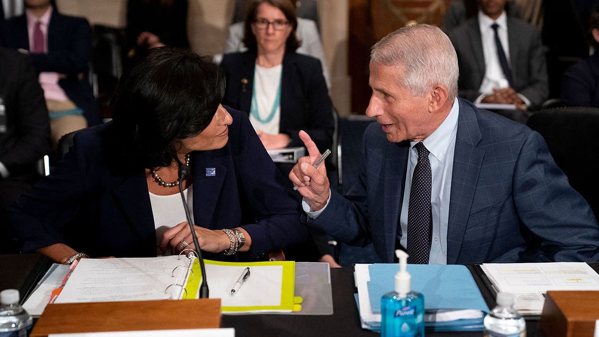 Anthony Fauci and Rochelle Walensky at congressional hearing