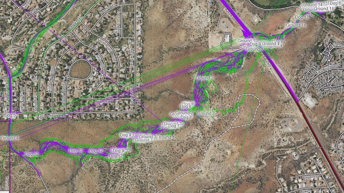 Searchers relentlessly scoured the area near Cottonwood and the Verde River to locate 16-year-old Faith Moore. Each green and purple line is a searcher outfitted with a GPS device, the sheriff's office said.