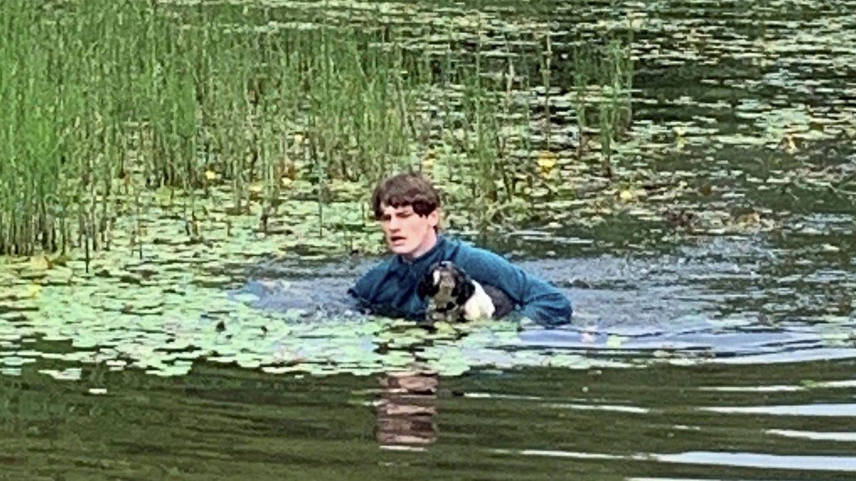 Connor Telfer saving Charlie the dog from a lake at Penllergare Valley Woods