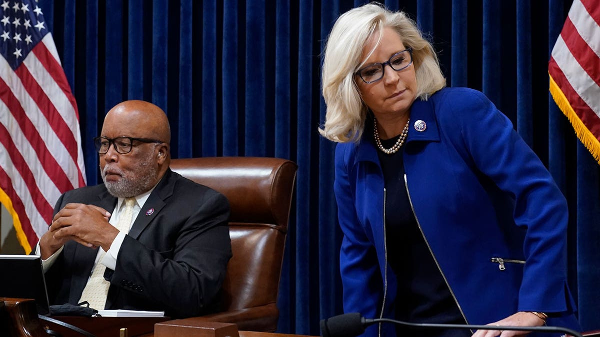 Liz Cheney and Bennie Thompson at House select committee