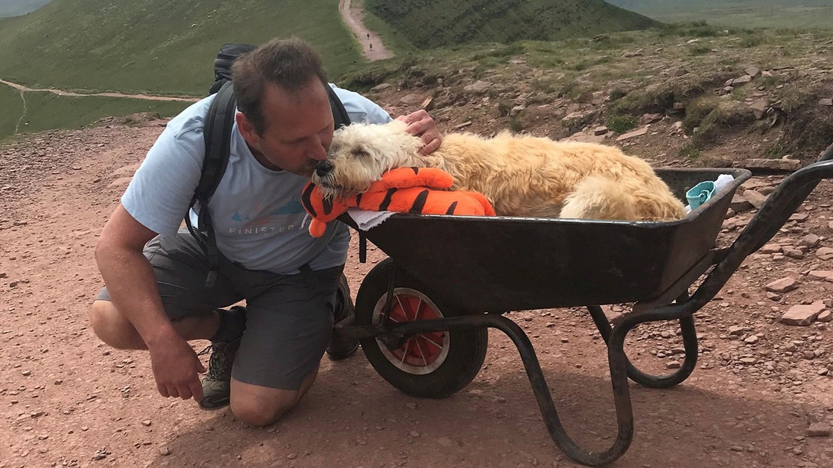 Carlos Fresco taking his dying pet dog Monty up his favorite mountain, Pen y Fan in the Brecon Beacons.