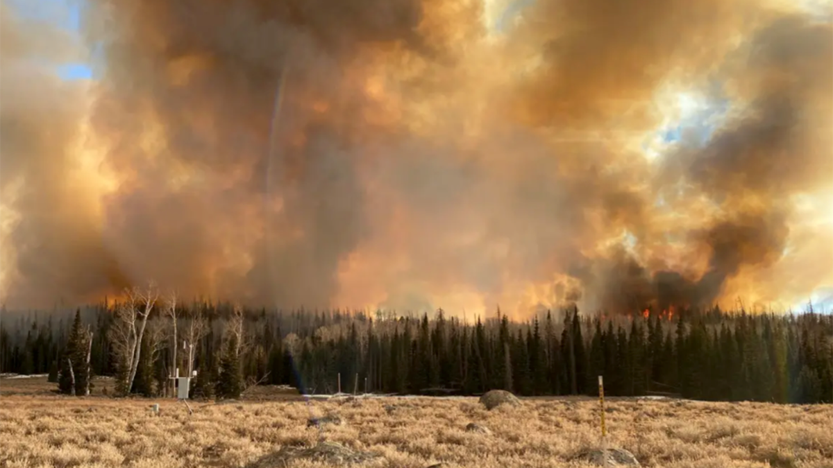 Wildfire Smoke Exposure Linked To COVID-19 Case Increase: Study | Fox News