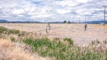 Ben DuVal walks past a dry irrigation pipe in a field he had rented for crops this year but was unable to plant due to the water shortage, on Wednesday, June 9, 2021, in Tulelake, Calif. DuVal's family has farmed the land near the California-Oregon border for three generations, and this summer for the first time ever, he and hundreds of others who rely on irrigation from a depleted, federally managed lake aren't getting any water from it at all. (AP Photo/Nathan Howard)