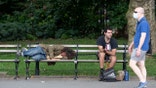 NEW YORK, NEW YORK - AUGUST 31: A man wearing a mask walks past people without masks on a bench in Washington Square Park as the city continues Phase 4 of re-opening following restrictions imposed to slow the spread of coronavirus on August 31, 2020 in New York City. The fourth phase allows outdoor arts and entertainment, sporting events without fans and media production. (Photo by Alexi Rosenfeld/Getty Images)