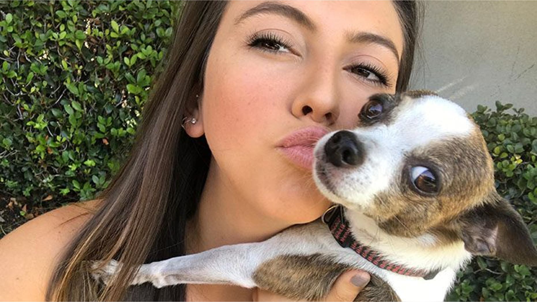 Dog owner offers warning after beloved pet dies after being left with pet sitter Dog owner offers warning after beloved pet dies after being left with pet sitter