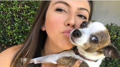 Dog owner offers warning after beloved pet dies after being left with pet sitter