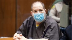 Harvey Weinstein's conviction appeal: 5-judge panel hears oral arguments