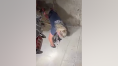 Firefighters rescue Ohio dog trapped between concrete walls