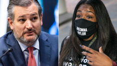 Ted Cruz blasts Cori Bush's 'stolen land' tweet as 'divisive lies'